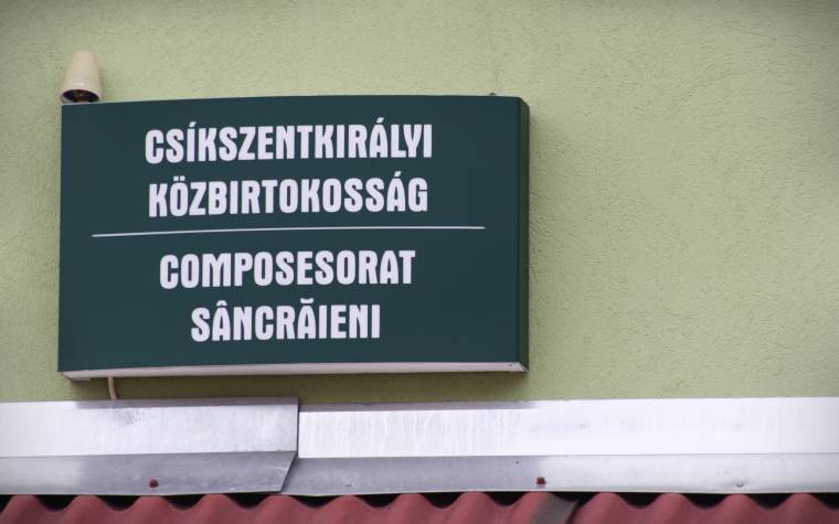 Maradjon az utódoknak is erdő