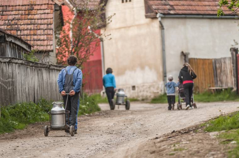 Rendkívüli tejtámogatás: 1746 igénylő Hargita megyében