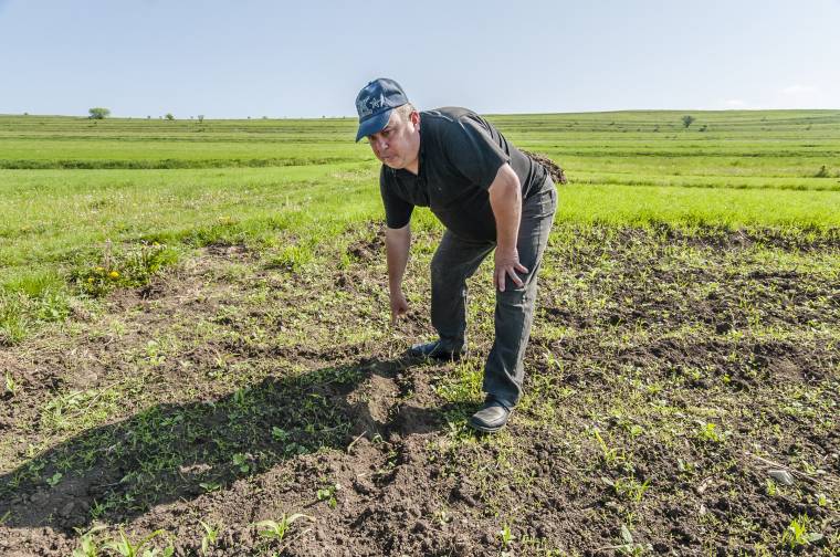 Szándékosan késleltetik a kártérítést – évek óta rendszertelenül kárpótol az állam a vadállatok okozta dúlások után