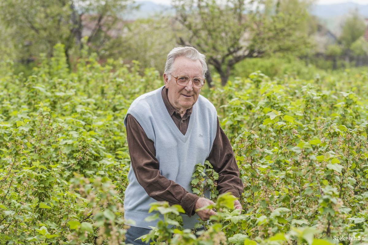 • Fotó: Veres Nándor