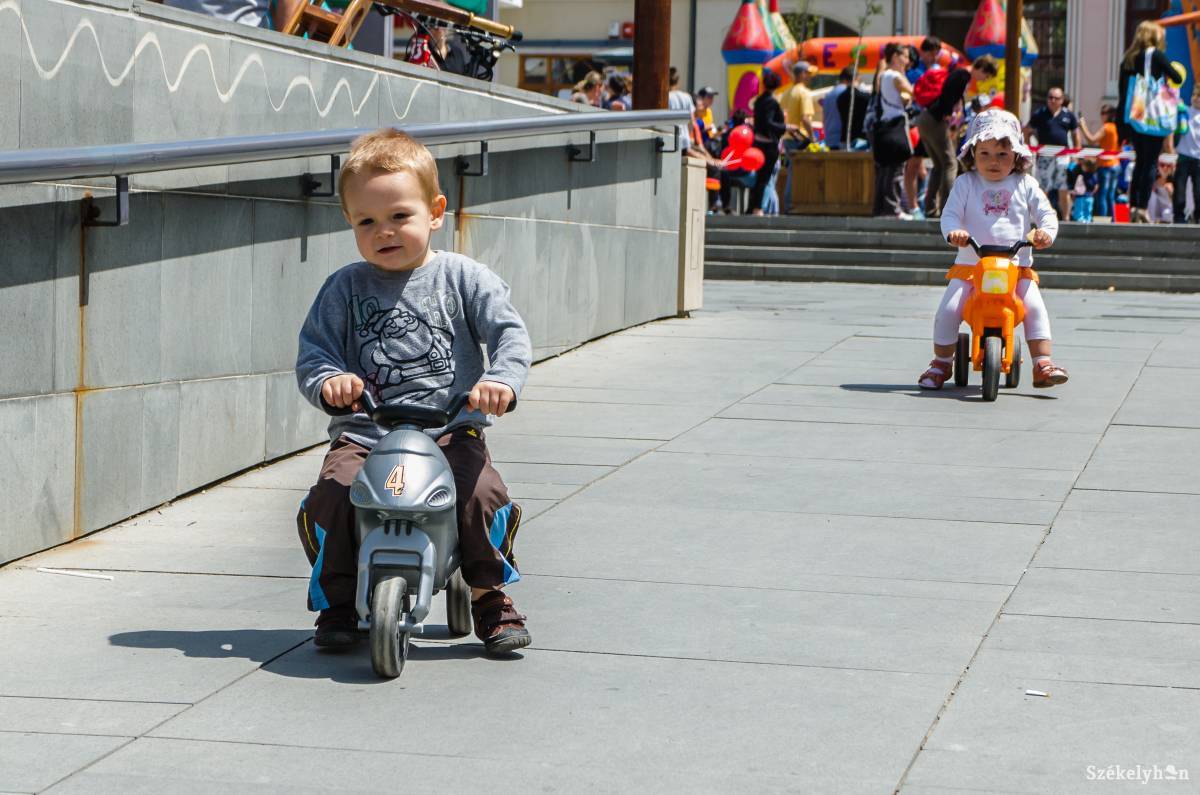 • Fotó: Szigeti Vajk István