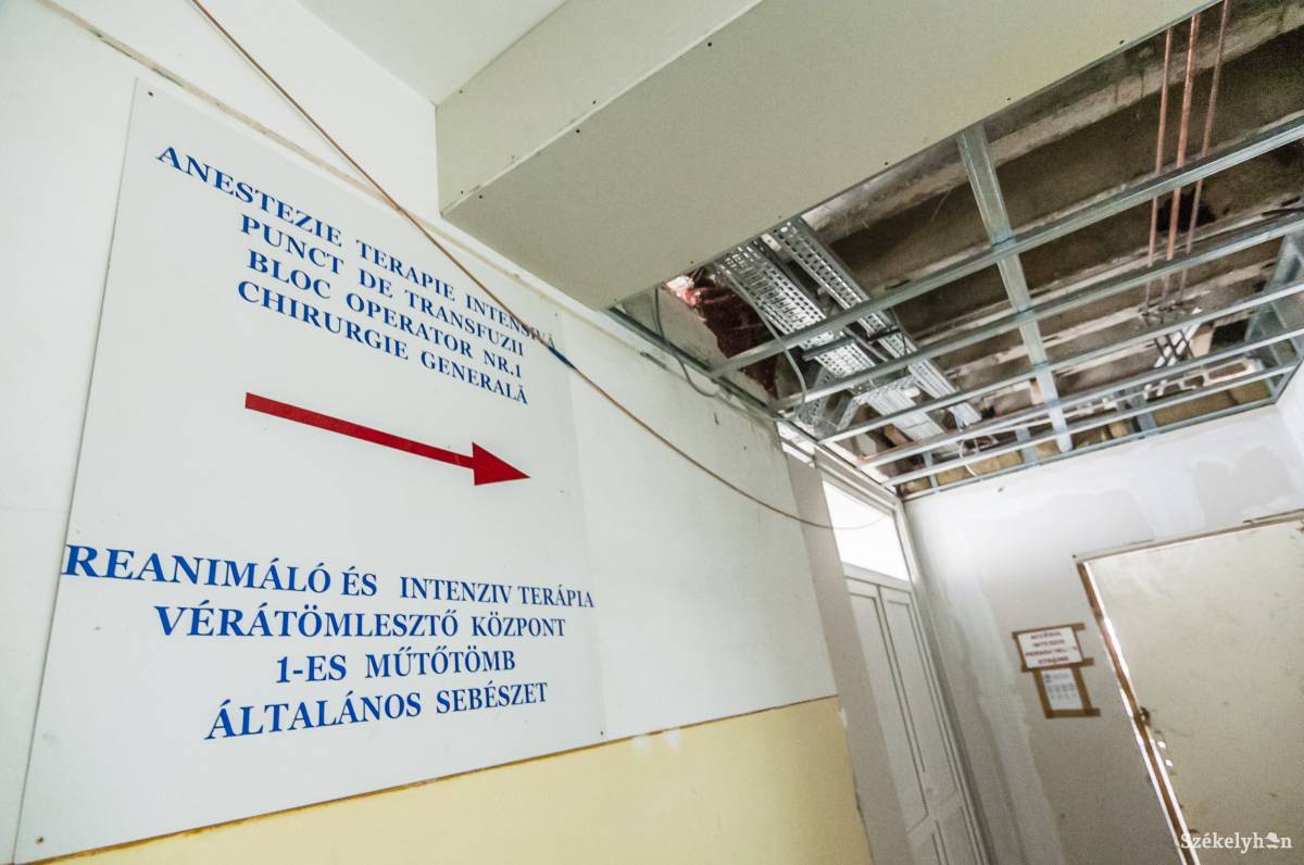 •  Fotó: Veres Nándor