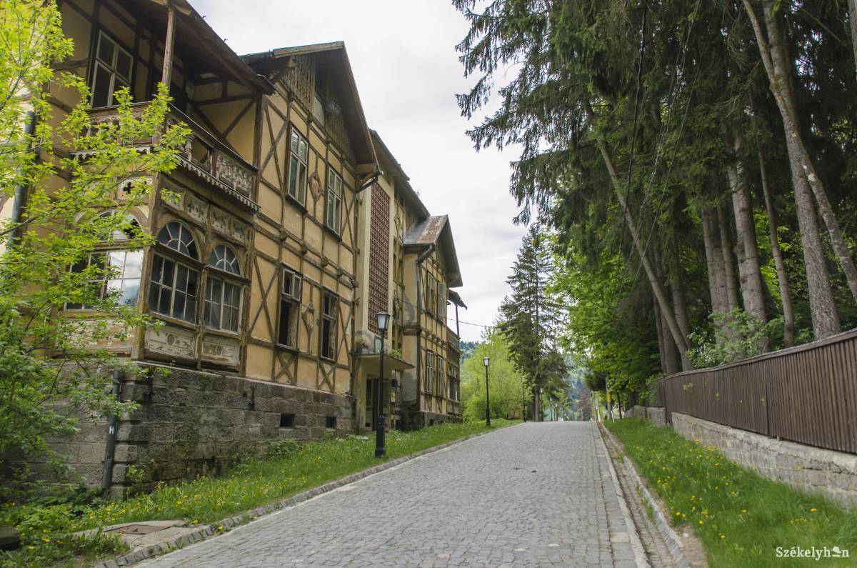 &bullet;  Fotó: Szigeti Vajk István