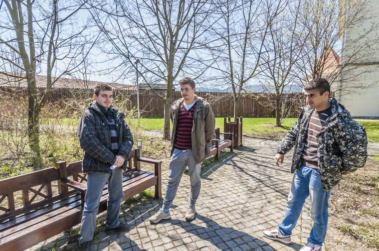 Bocsánatot kértek a csíkszeredai rongálók