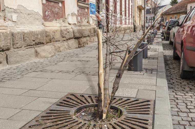 Eljárás indul a rongálók ellen