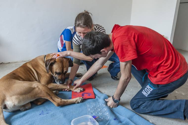 Terápia kutyákkal: önbizalmat erősít, beilleszkedést segít