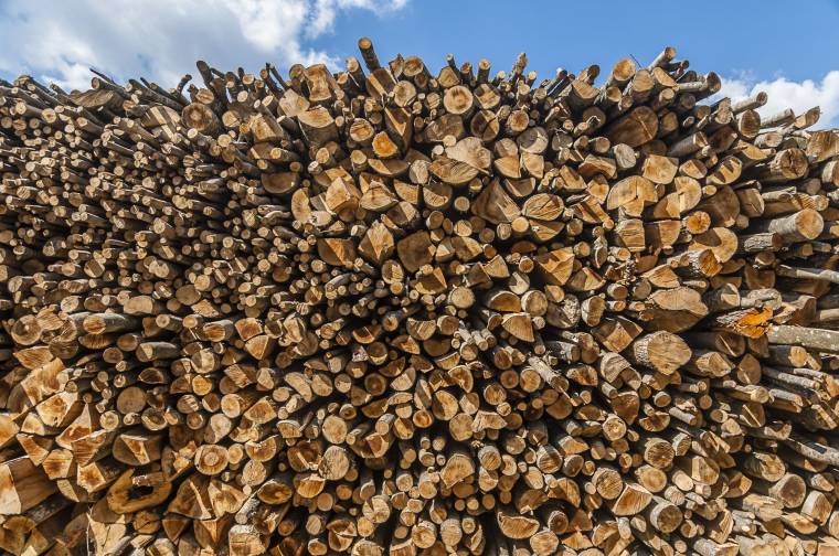Nemsokára beüzemelik a gyergyószentmiklósi fatelepet – a rászorulók segítése a cél