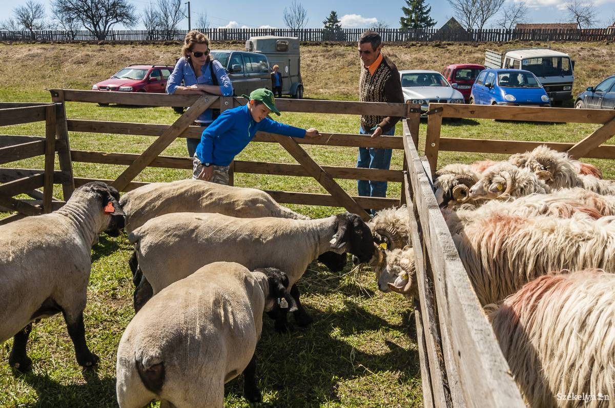 &bullet;  Fotó: Veres Nándor