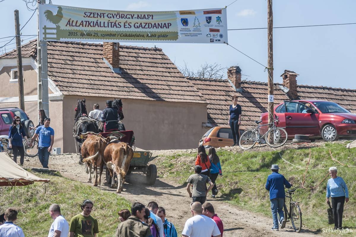 • Fotó: Veres Nándor