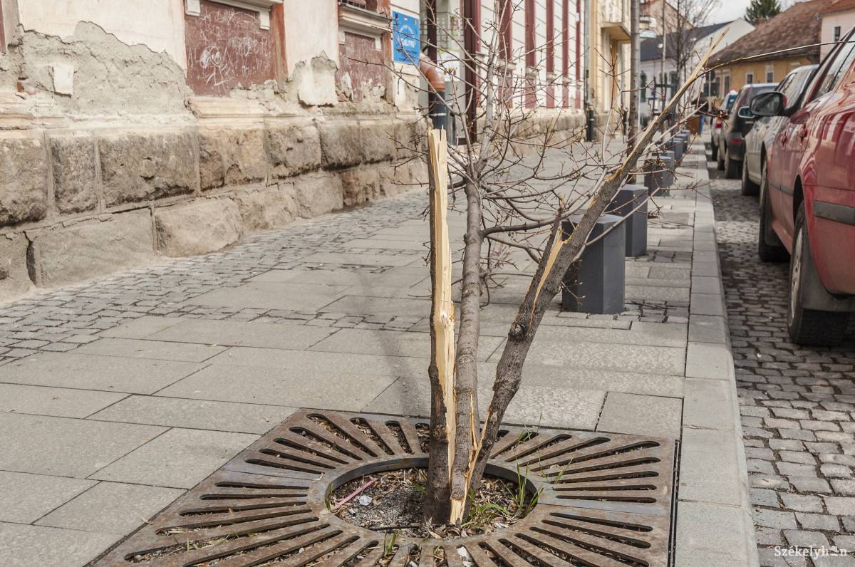 •  Fotó: Veres Nándor