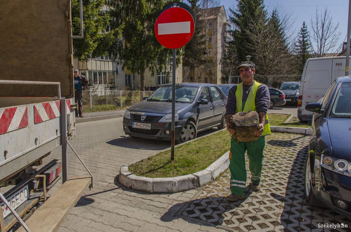 •  Fotó: Szigeti Vajk István