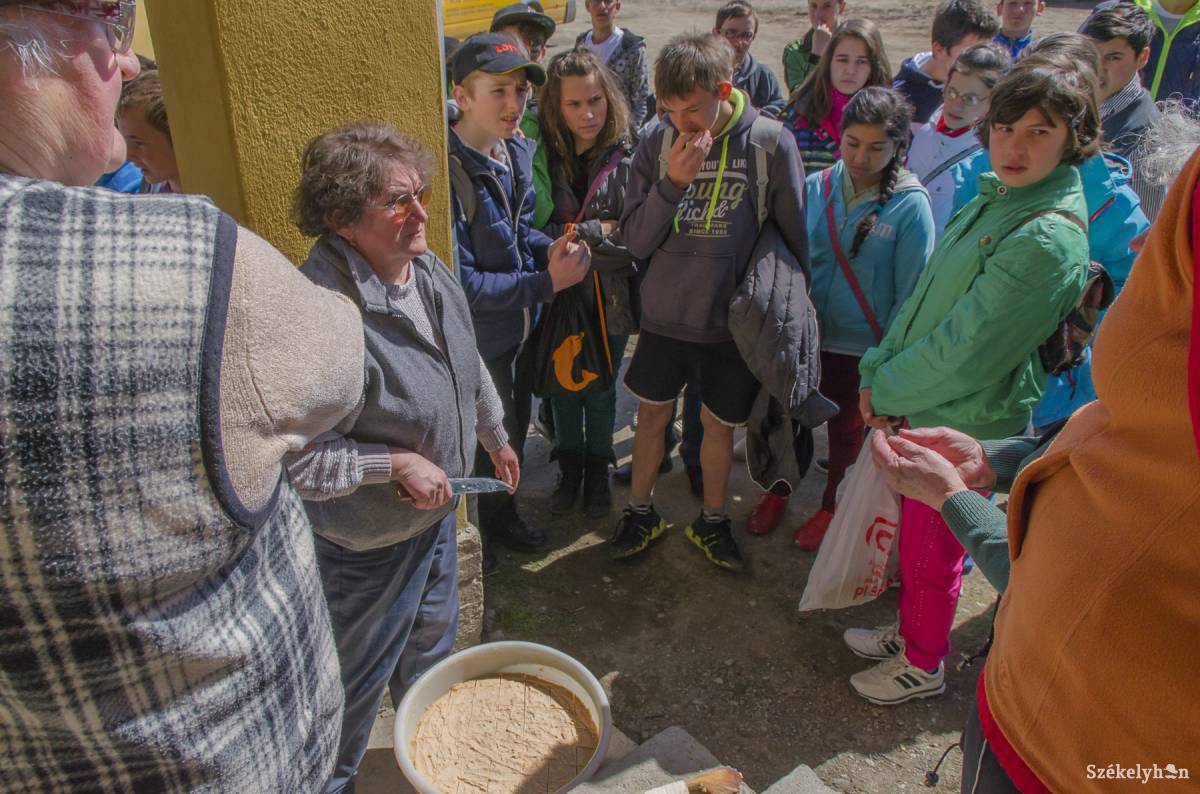 •  Fotó: Szigeti Vajk István