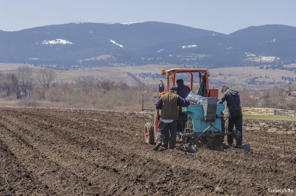 &bullet;  Fotó: Szigeti Vajk István
