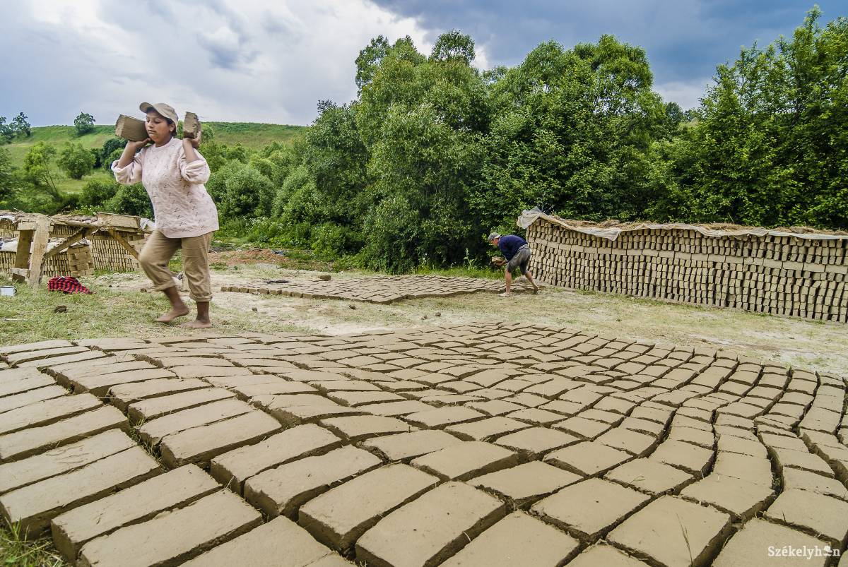 •  Fotó: Veres Nándor