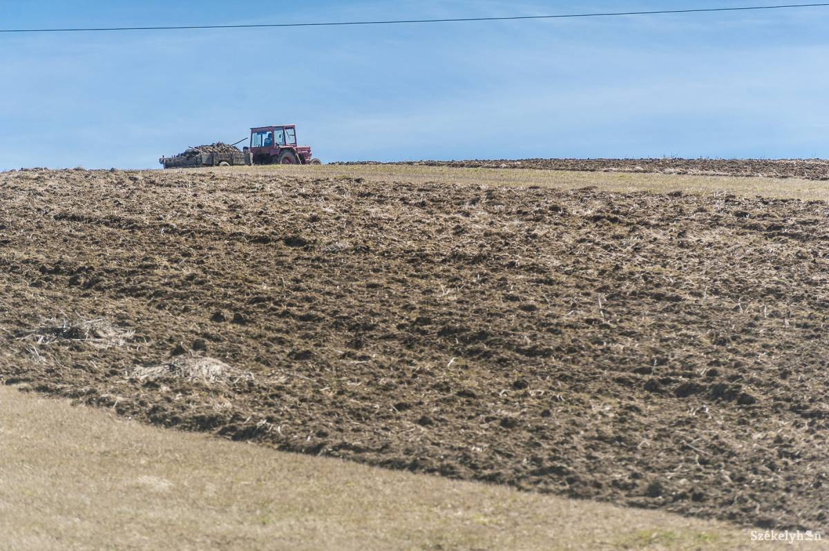Nagyon nehéz év elé néznek a gazdák a drágulások miatt •  Fotó: Veres Nándor