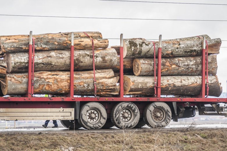 Erdészeti ellenőrzések Hargita megyében: több mint 220 ezer lej értékű faanyagot foglaltak le