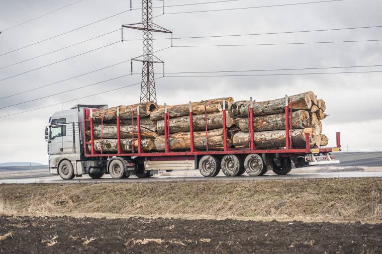 Minimalizálná az illegális fakitermelést a Schweighofer