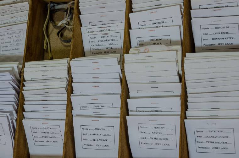 Folytatódik a magmentő képzés