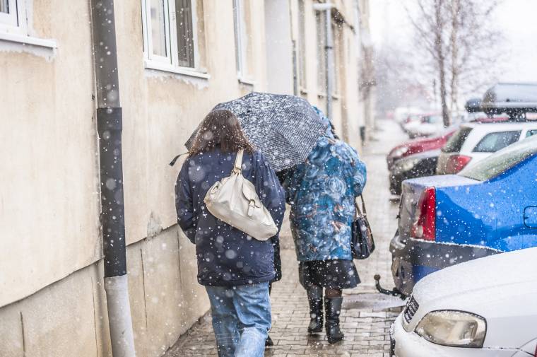 Hóvihar: kidöntött fák, áram nélkül maradt háztartások Marosszéken