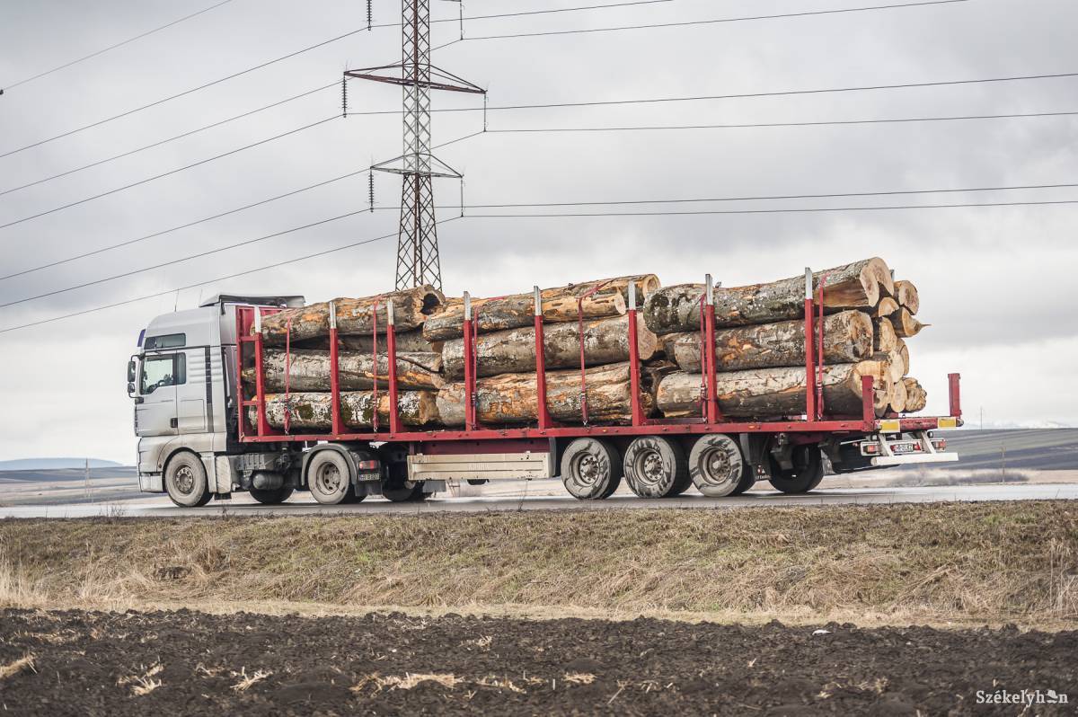 • Fotó: Veres Nándor