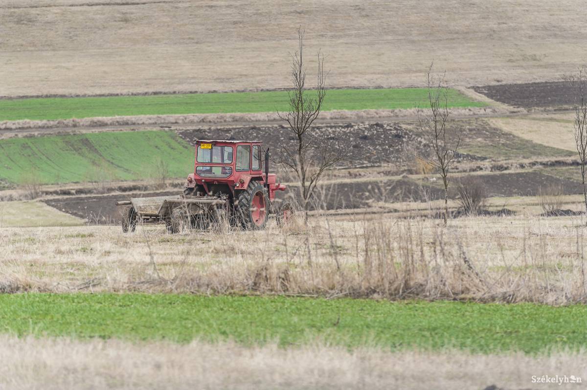 &bullet;  Fotó: Veres Nándor