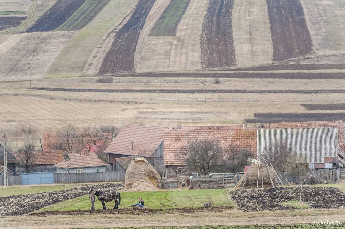 Illusztráció •  Fotó: Veres Nándor