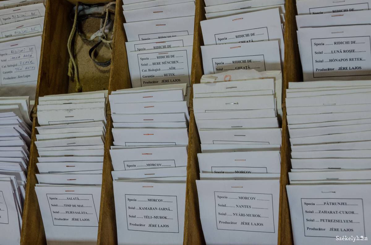 &bullet;  Fotó: Szigeti Vajk István