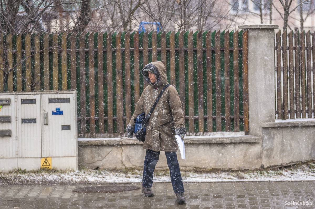 •  Fotó: Veres Nándor