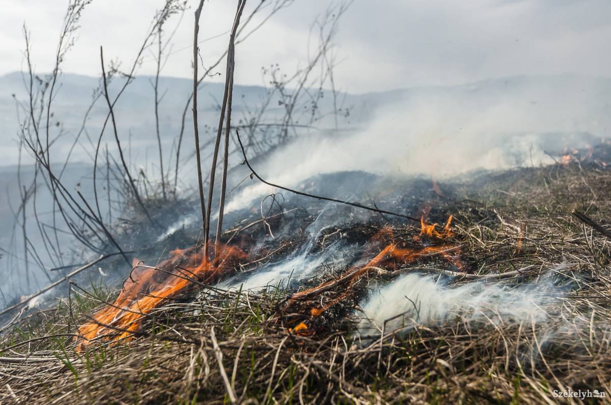 Különösen veszélyes most meggyújtani az aljnövényzetet. Képünk illusztráció •  Fotó: Veres Nándor