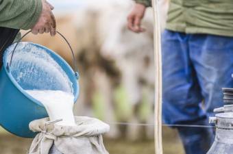 Hosszú a sor, már a tejtermelők is nagy pácban vannak