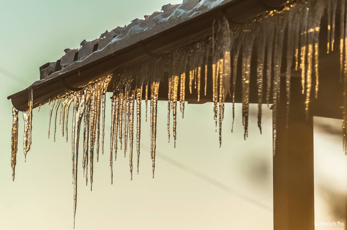 •  Fotó: Veres Nándor