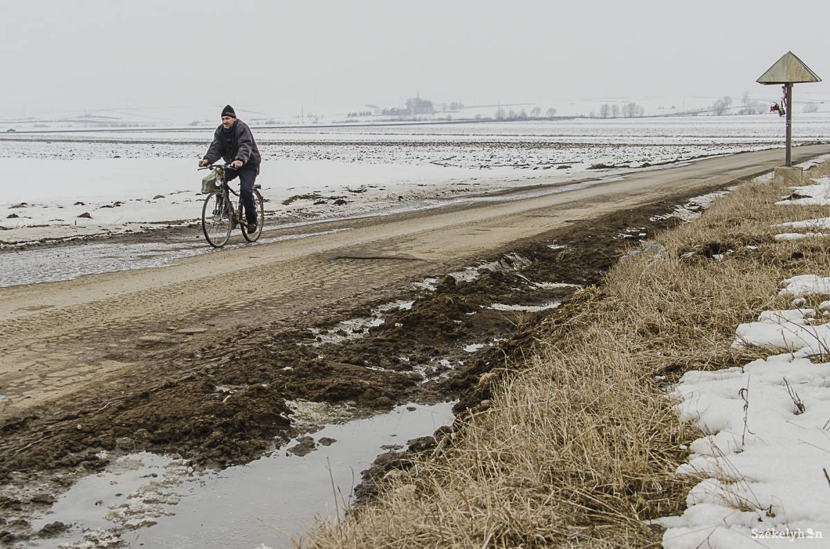 • Fotó: Szigeti Vajk István
