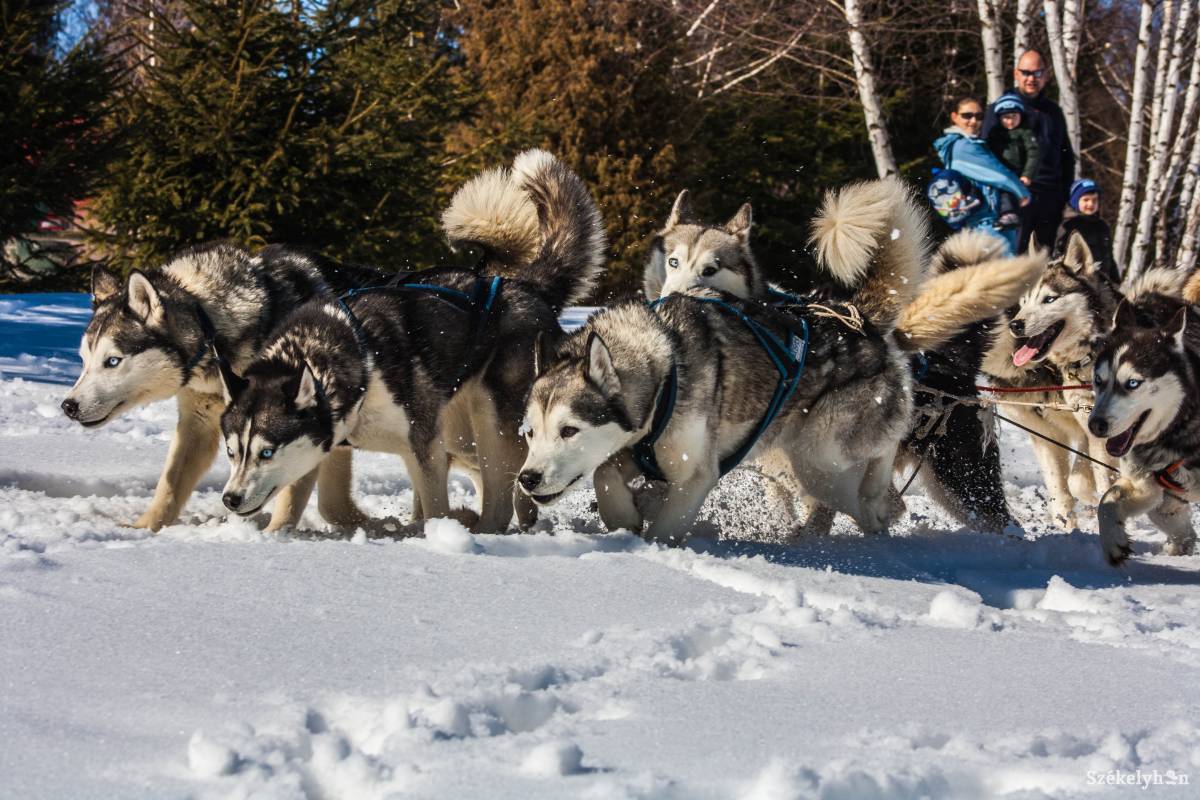 &bullet;  Fotó: Tamás Attila