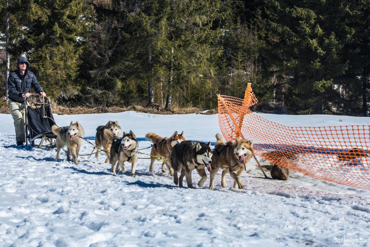 Illusztráció •  Fotó: Tamás Attila