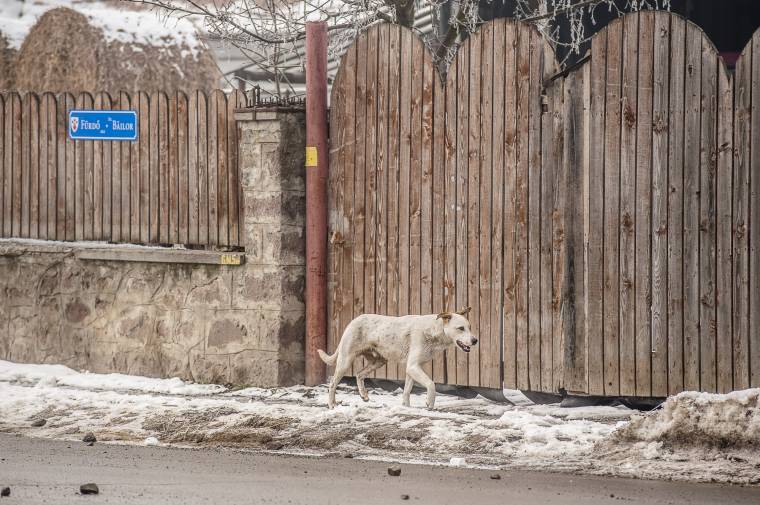 Az idősebbek nem mernek kimenni az utcára