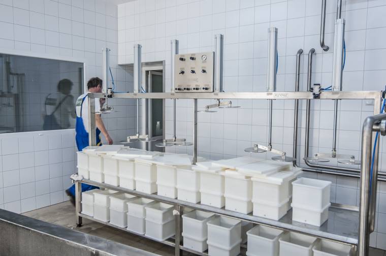 Több mint hatszáz középkorú munkavállalását segítették