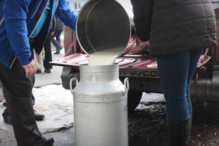 Csökkenhet a tej áfája is