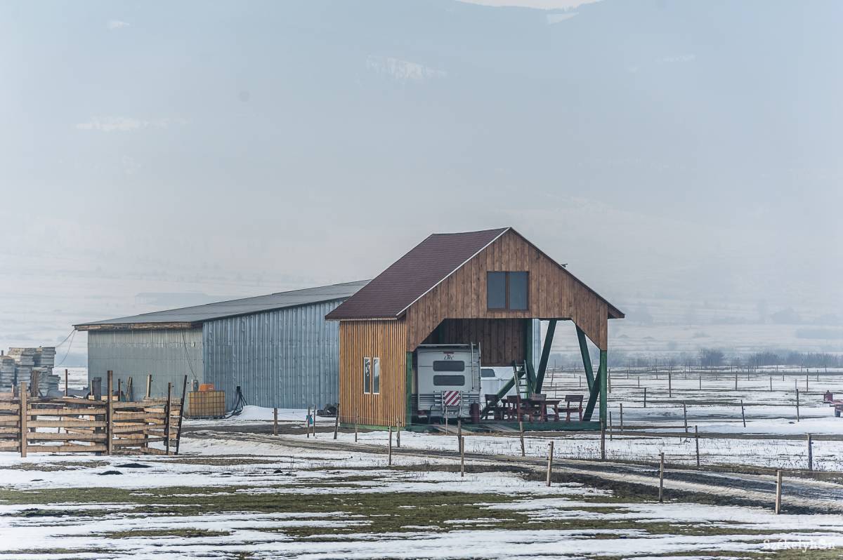 • Fotó: Veres Nándor