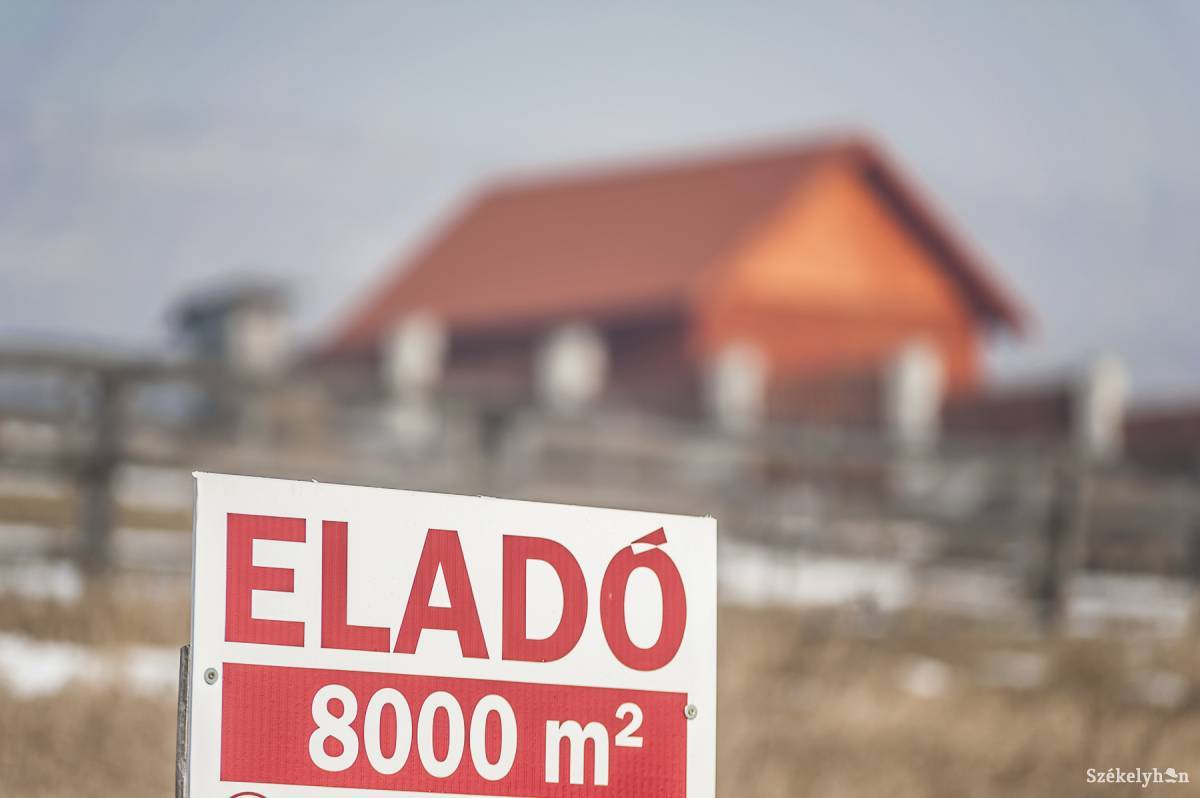 •  Fotó: Veres Nándor