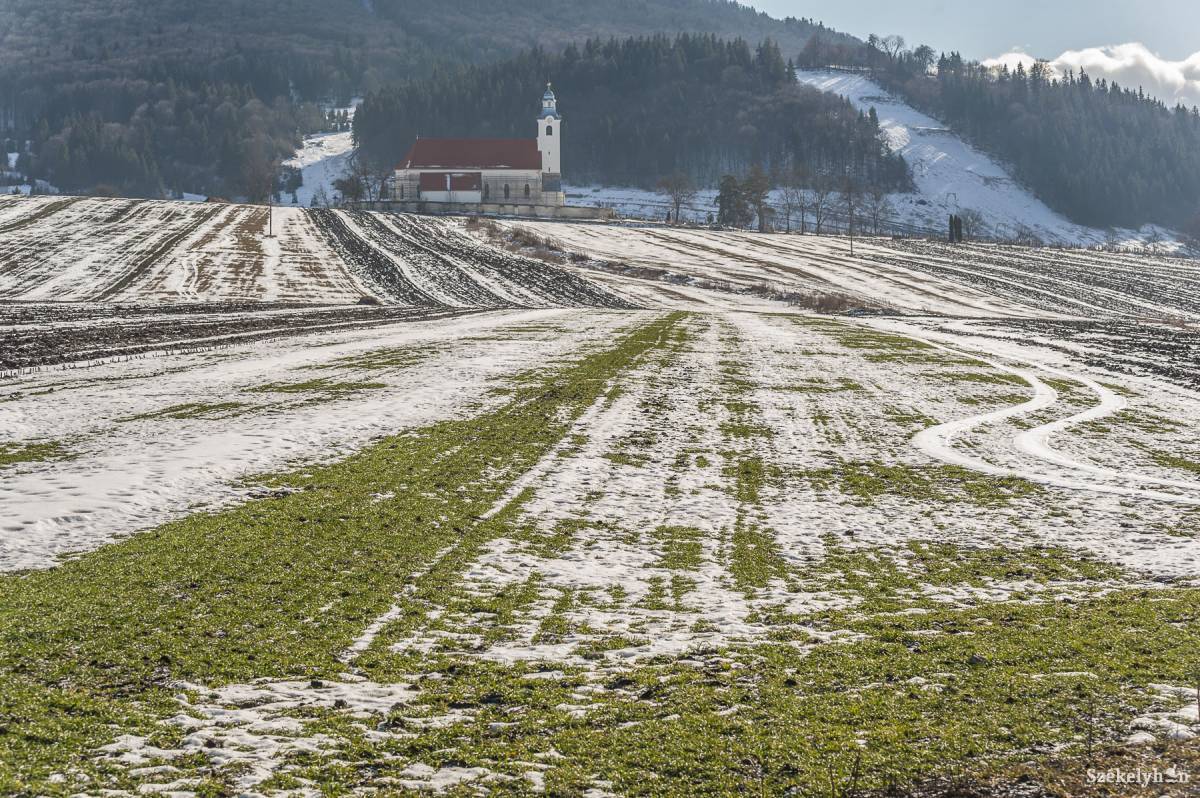 Fagyott és havazott, de jól jött a csapadék a földeken. Vízpótlásra még jobb is az olvadó hó, mint a gyors eső •  Fotó: Veres Nándor