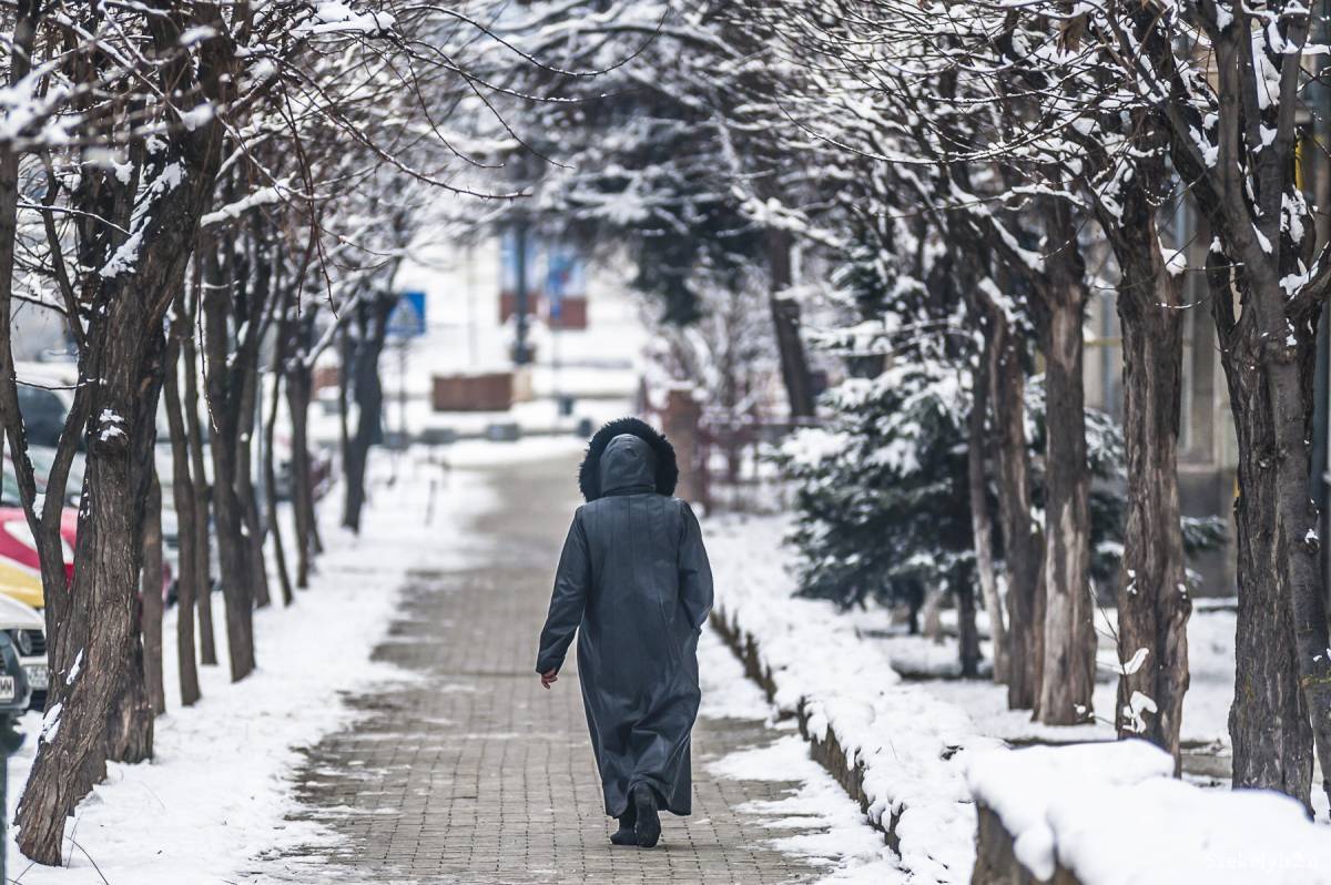 •  Fotó: Veres Nándor