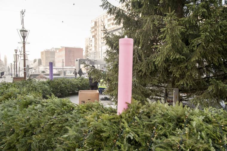 Bécsből hoztak lángot a csíki otthonokba