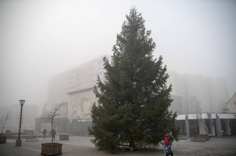 Helyén a fenyő, már csak fel kell díszíteni