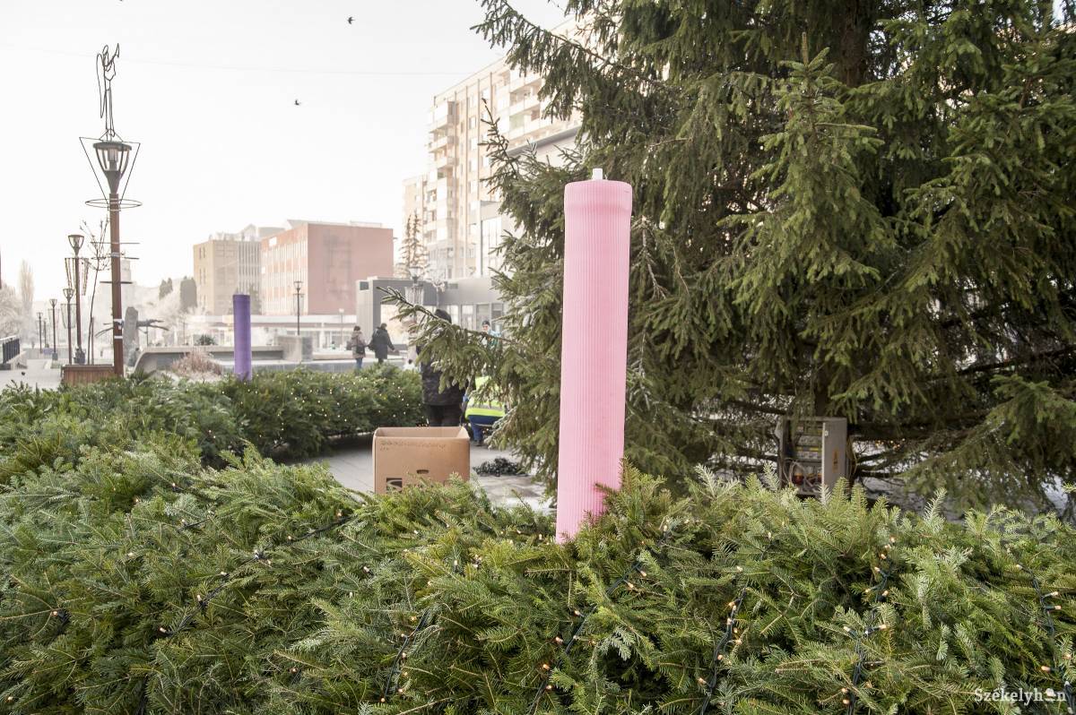 •  Fotó: Veres Nándor