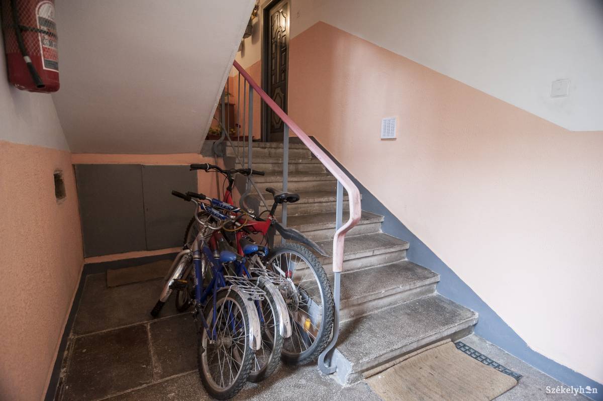 •  Fotó: Veres Nándor