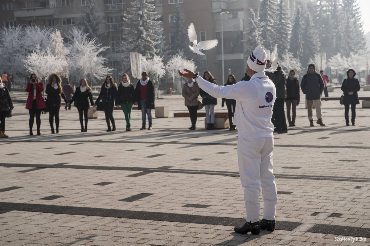 •  Fotó: Veres Nándor