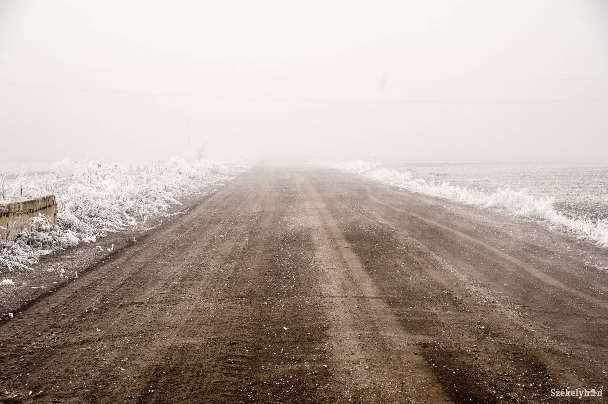 •  Fotó: Veres Nándor