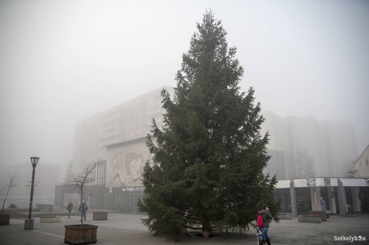 •  Fotó: Veres Nándor