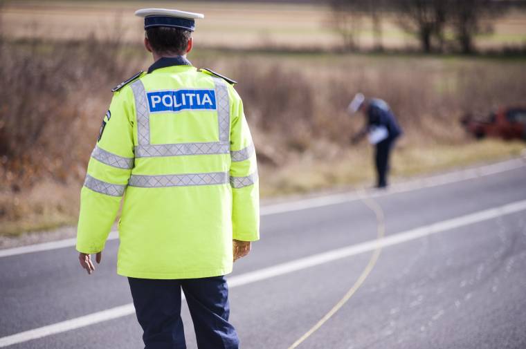 Elpusztult a hajnalban elütött ló