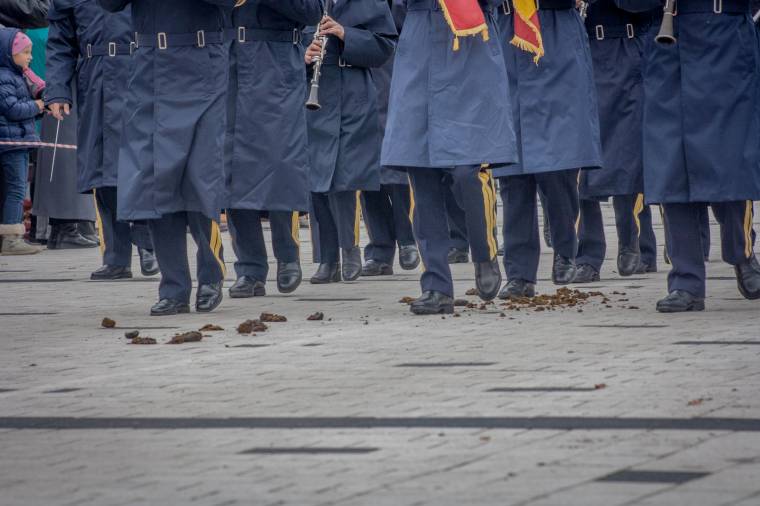 Idén 14 milliárd lejjel kell „kipótolni” a nyugdíjalapot